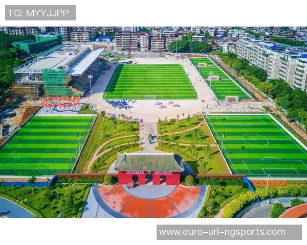 足球小镇项目助力地方经济发展与青少年足球文化推广新篇章